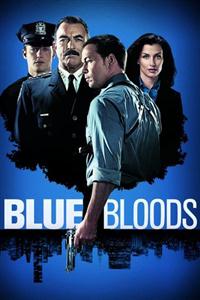 Blue Bloods Seasons 1-8 DVD Box set