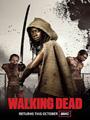 The Walking Dead Season 1-5 DVD Boxset