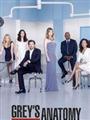 Grey's Anatomy Season 11 DVD Boxset