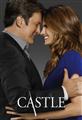 Castle Season 1-8 DVD Boxset