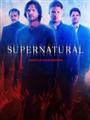Supernatural Season 1-11 DVD Boxset