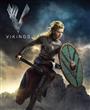 Vikings Seasons 1-5 DVD Box Set