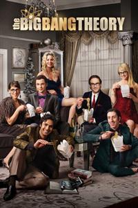 The Big Bang Theory Seasons 1-11 DVD Box Set