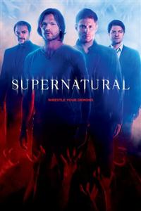 Supernatural Seasons 1-13 DVD Boxset