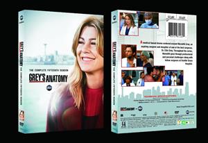 Grey's Anatomy Season 15 DVD Set