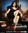 The Good Wife Season 6 DVD Boxset