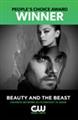 Beauty and the Beast Seasons 1-4 DVD Box Set