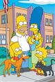 The Simpsons Seasons 28 DVD Boxset