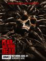 Fear The Walking Dead seasons 1-3 DVD