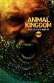 Animal Kingdom Season 3 DVD Set