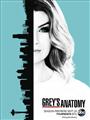 Grey's Anatomy Season 1-15 DVD Set